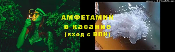 прущие грибы Аркадак