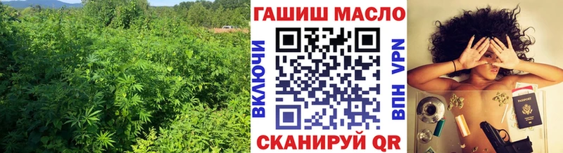 Купить  Новопавловск  Дистиллят ТГК гашишное масло 