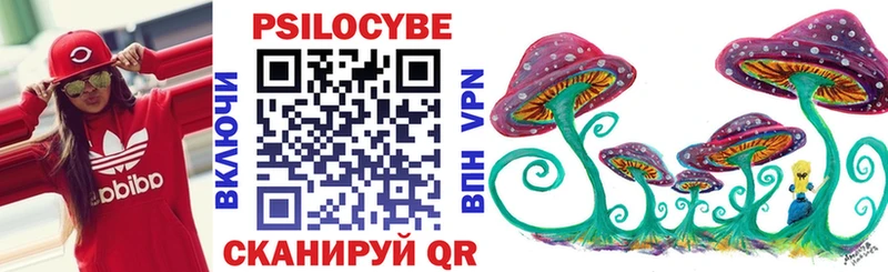 Псилоцибиновые грибы Magic Shrooms  Купить где  Новопавловск 