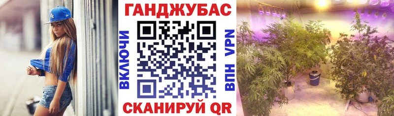 Купить где Новопавловск Каннабис гибрид